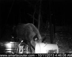 BedandBreakfast-NewFeeder_10112013_5813458.jpg